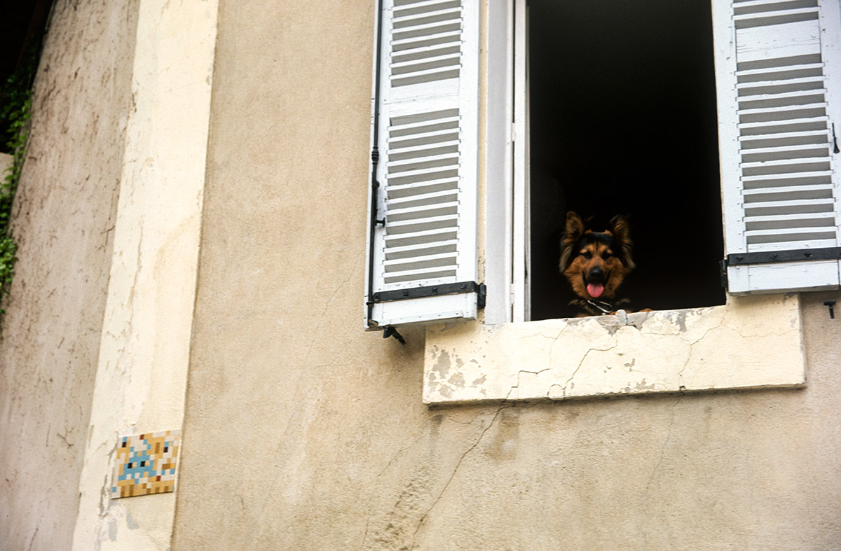 Image de fond - Invader