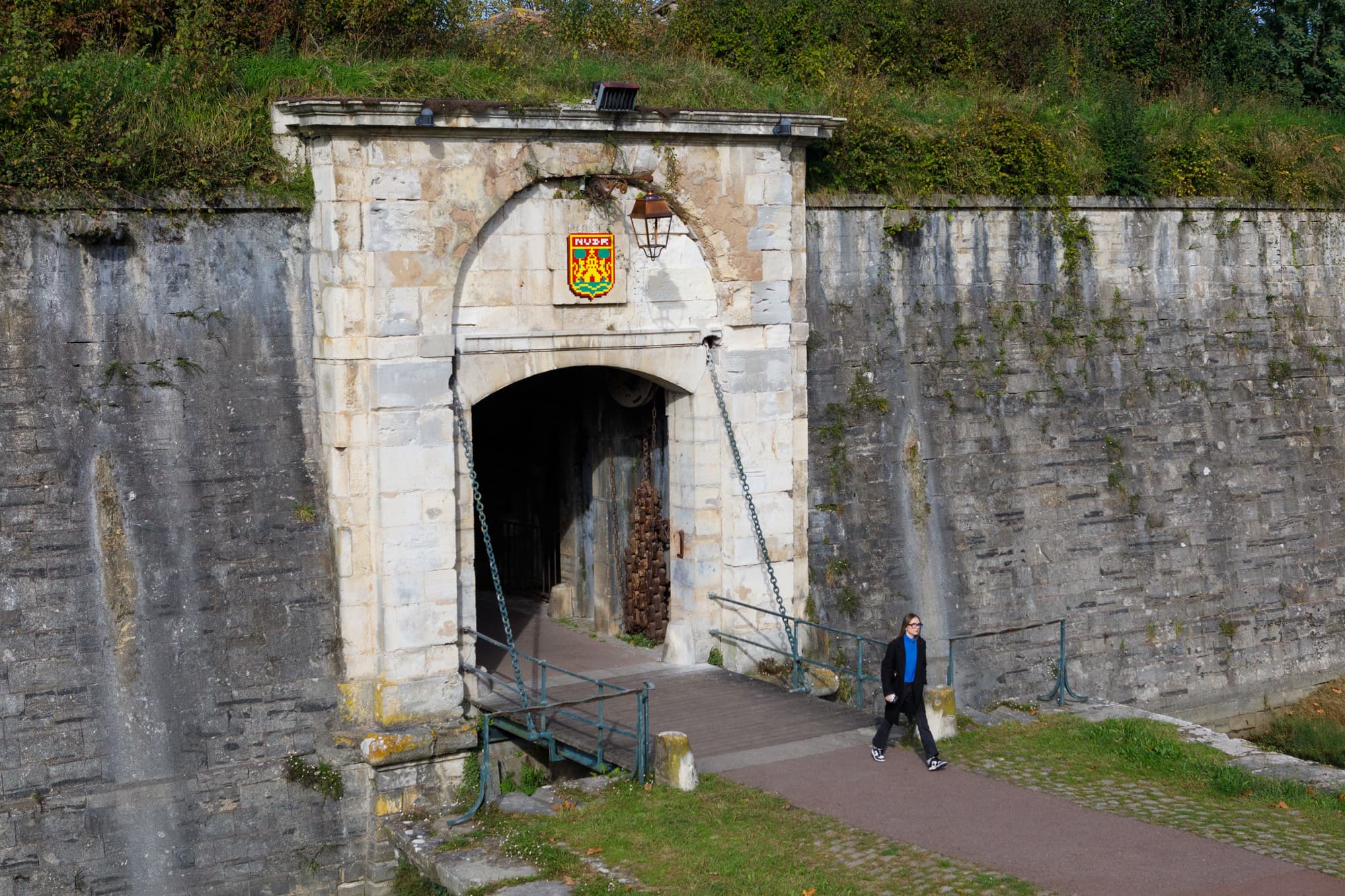 Invader - Background image