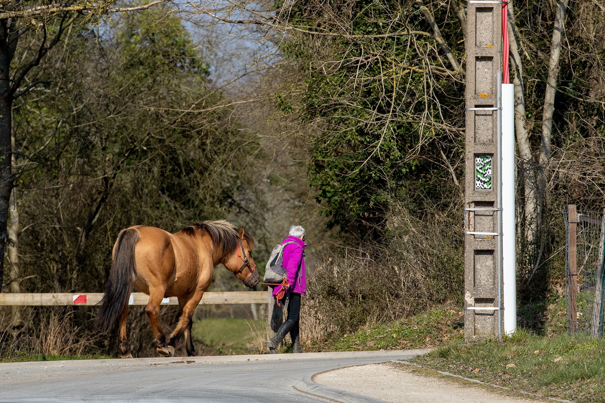 Invader - Background image