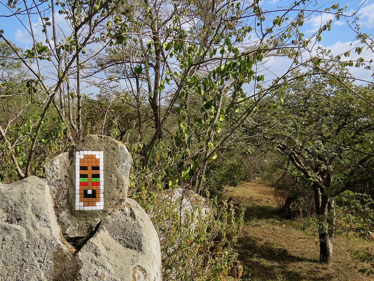 Invader - Background image