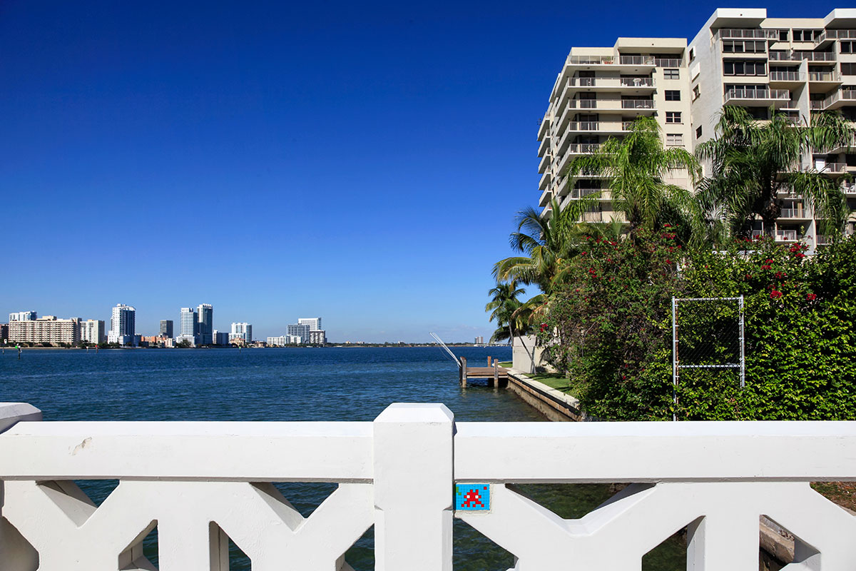 Invader - Background image