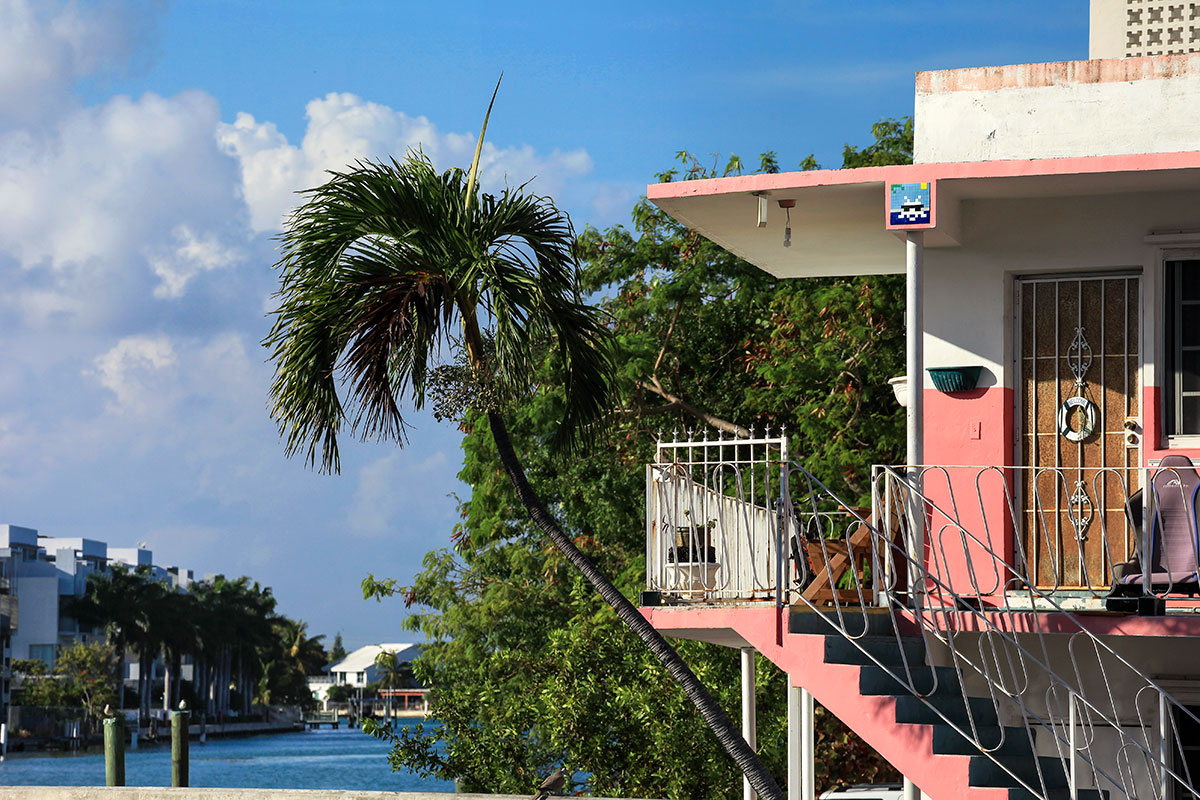 Invader - Background image