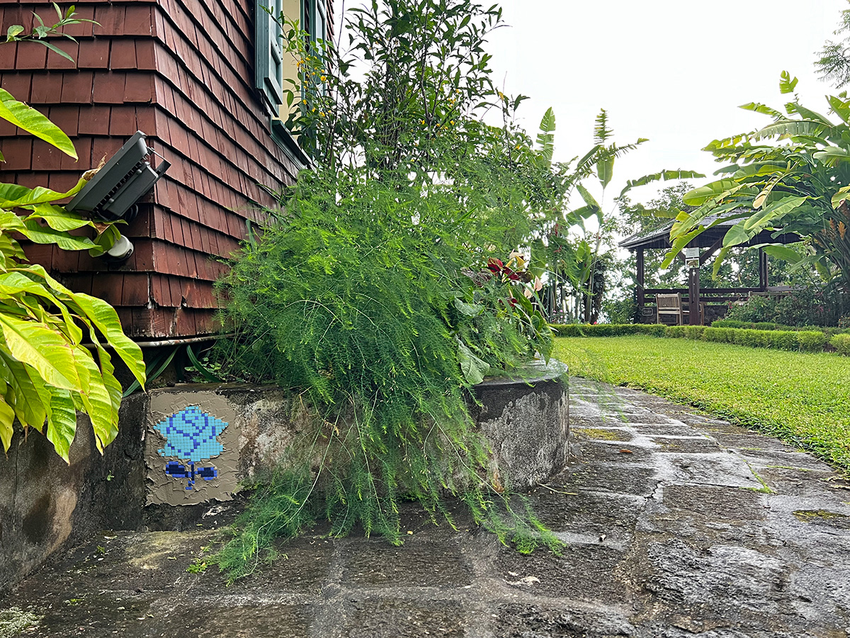 Invader - Background image